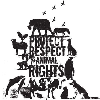 I law animals. Ochrona humanitarna zwierząt wolno żyjących (dzikich)