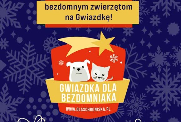 Gwiazdka dla bezdomniaka