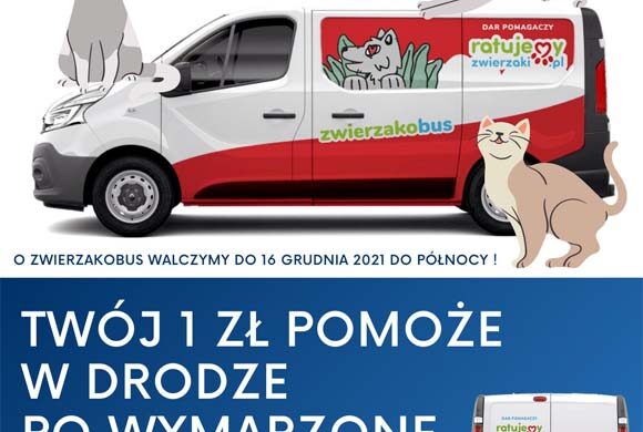Kolejny raz walczymy w konkursie o zwierzakobus!