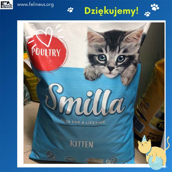 Dziękujemy adopcyjnej rodzinie kotki Kendry! Dziękujemy adopcyjnej rodzinie kotki Kendry!