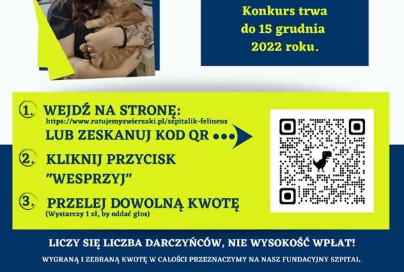 Startujemy w konkursie „Łap dotacje na organizację”