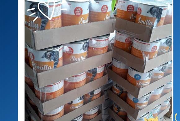 Dziękujemy Niepublicznej Szkole Montessori w Rzeszowie