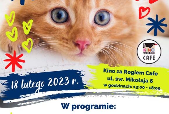 Zapraszamy na Dzień Kota, 18 lutego w Kinie za Rogiem Cafe Zapraszamy na Dzień Kota, 18 lutego w Kinie za Rogiem Cafe