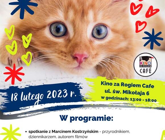 Zapraszamy na Dzień Kota, 18 lutego w Kinie za Rogiem Cafe