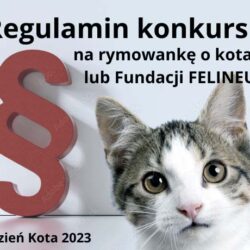 Regulamin konkursu na rymowankę o kotach lub Fundacji FELINEUS