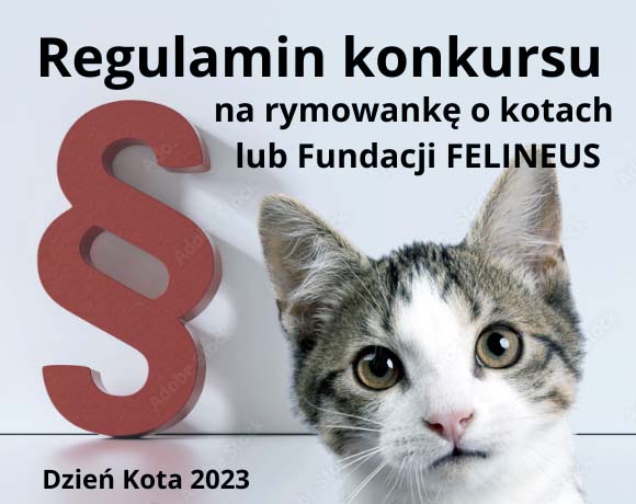 Regulamin konkursu na rymowankę o kotach lub Fundacji FELINEUS