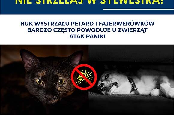 Nie strzelaj w SYLWESTRA! Nie strzelaj w SYLWESTRA!