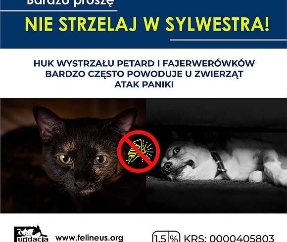 Nie strzelaj w SYLWESTRA! Nie strzelaj w SYLWESTRA!