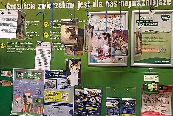 Akcja Choinka Start w Maxi Zoo Galeria Nowy Świat Akcja Choinka Start w Maxi Zoo Galeria Nowy Świat