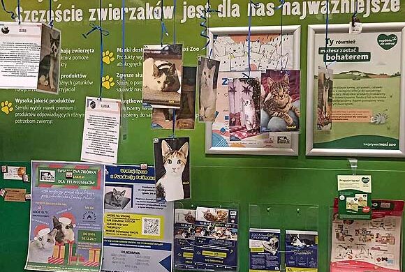 Akcja Choinka Start w Maxi Zoo Galeria Nowy Świat