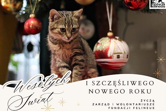 Życzenia świąteczne
