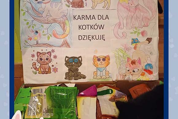 Dziękujemy Gminnemu Przedszkolu w Palikówce