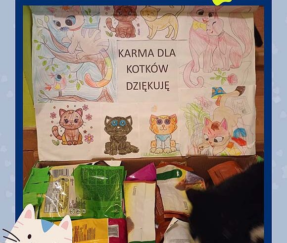 Dziękujemy Gminnemu Przedszkolu w Palikówce
